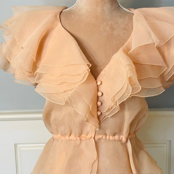 Vintage Ethereal Organza Tiered Ruffle Collar Sheer Blouse Flutter Sleeve XS/S - Picture 2 of 8